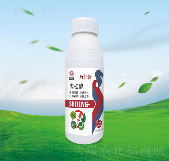 ���-�fǪ��-ʩ����