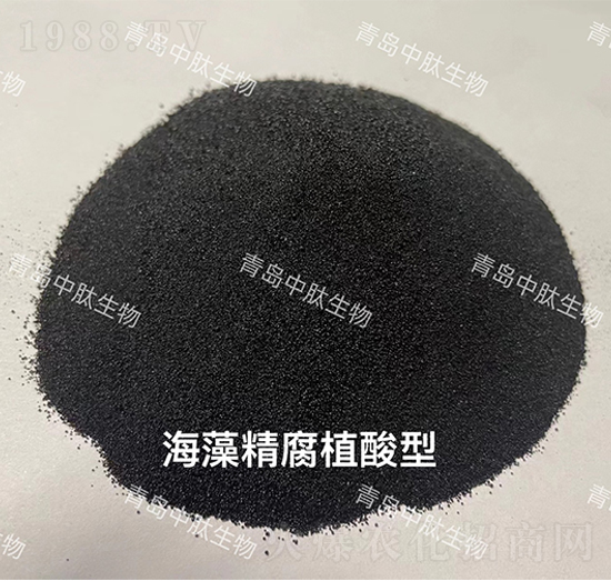 ���徫��ֲ����-���u��������