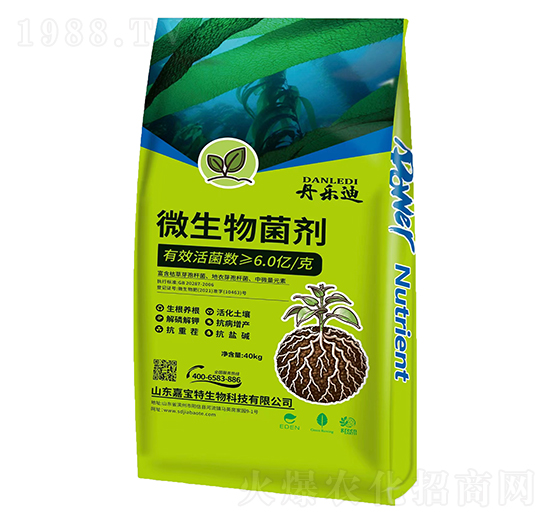 ΢�������-������-�Ό���