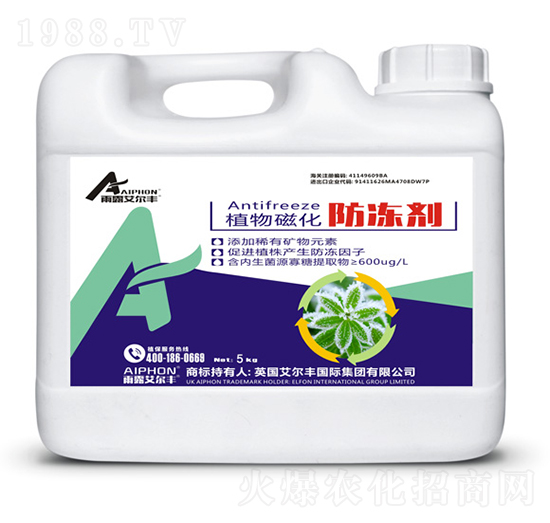 ֲ��Ż�������-��¶�����S