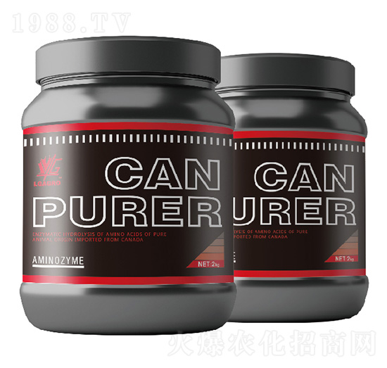 ��������Ľ���-����-�����_