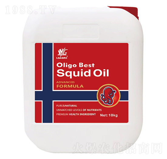 ī�~(y��)����-�P��Ԋ(sh��)-�����_