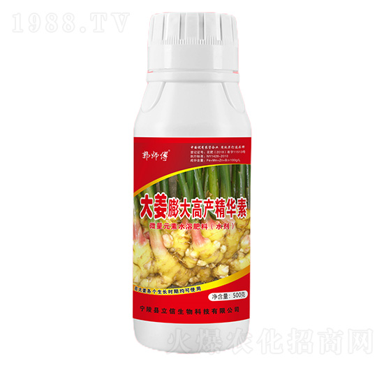 �����߮a(ch��n)���A��-������-��������