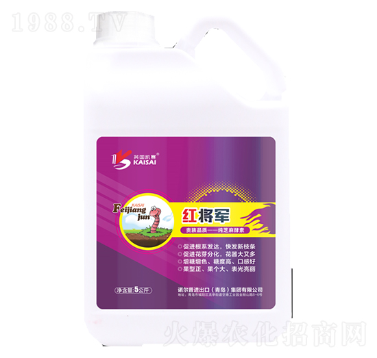 ��֥�����-�t��܊-�Z����