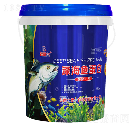 ��~����-���۠�-���۠�