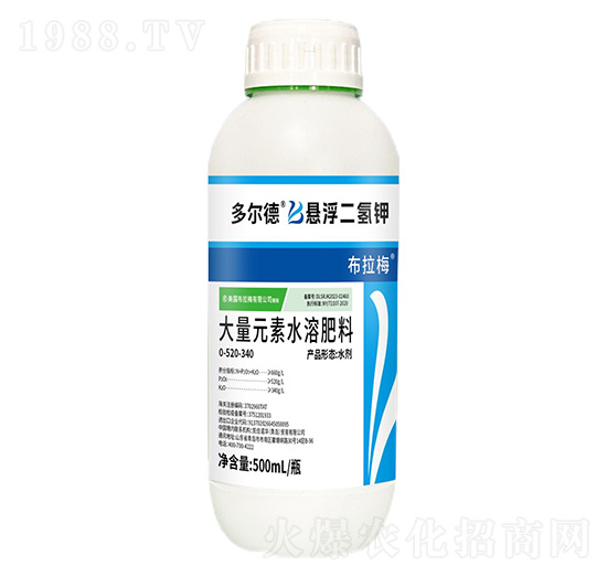 �����͑Ҹ������-�ࠖ��