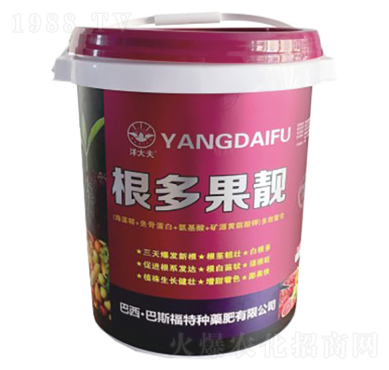 ������n-��˹��