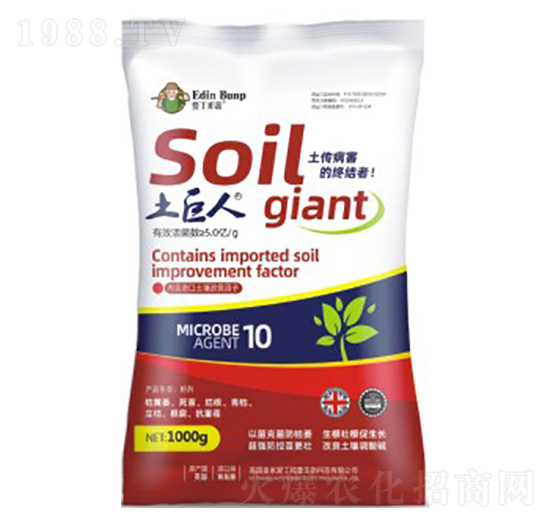 ������-�۶�����