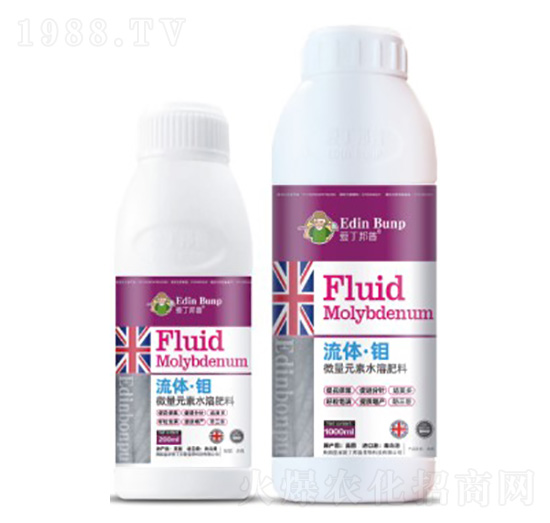 ���w���f-��(��i)������