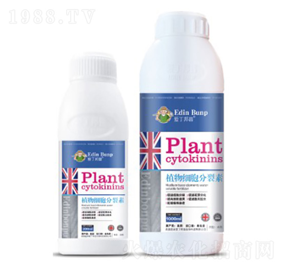 ֲ�：(x��)��������-�۶�����