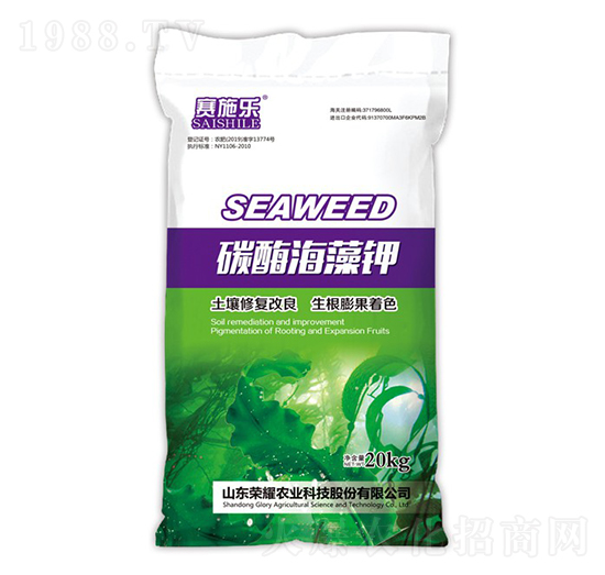 ̼ø�����-ِʩ��-�sҫ�r�I(y��)