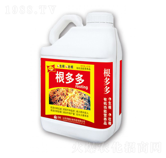 �����-�sҫ�r(n��ng)�I(y��)