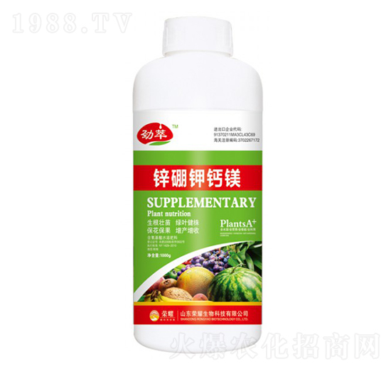 �\����}�V��ƿ��-����-�sҫ�r(n��ng)�I(y��)