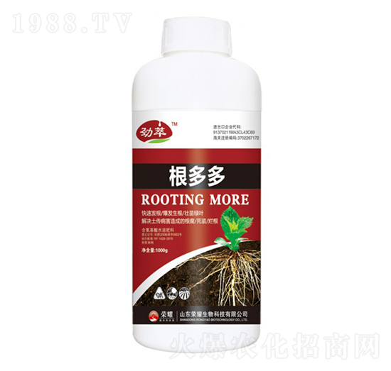 �����-����-�sҫ�r(n��ng)�I(y��)