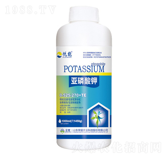 ������⛣�ƿ��-����-�sҫ�r�I(y��)