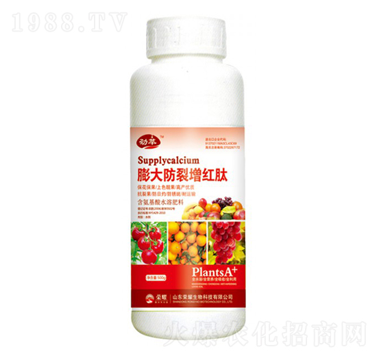 ���������t�ģ�500g��-����-�sҫ�r(n��ng)�I(y��)