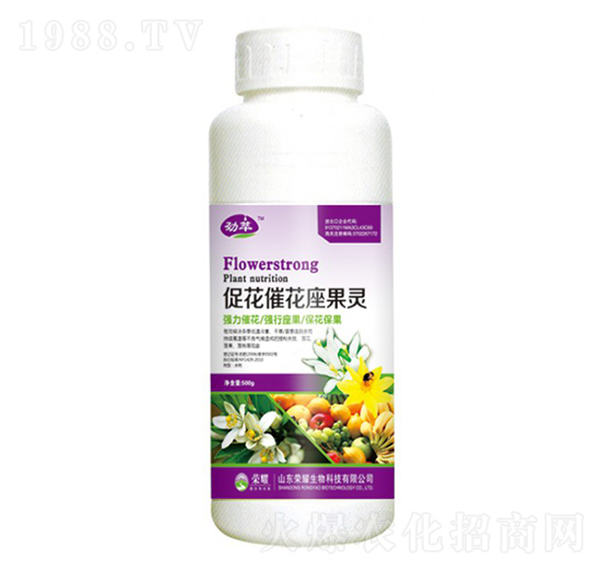 �ٻ��߻������`��500g��-����-�sҫ�r(n��ng)�I(y��)