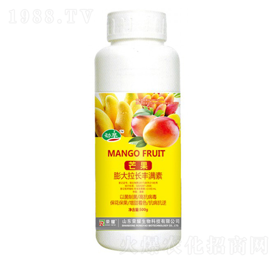 â��������L�S�M�أ�500g��-����-�sҫ�r(n��ng)�I(y��)