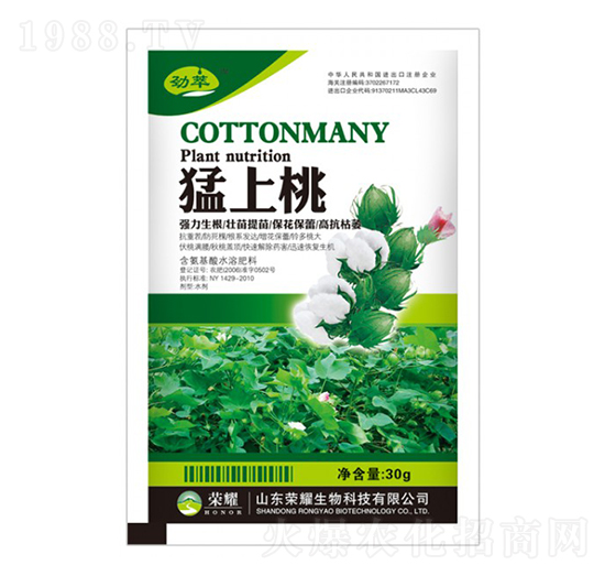 ������-����-�sҫ�r�I(y��)