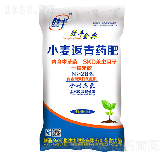 С������ˎ��-���S���-���S�ʘI(y��)