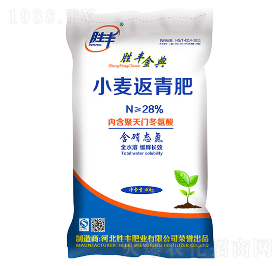 С�������-���S���-���S�ʘI(y��)