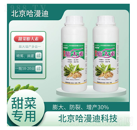 �����������������Ǆ�-�ο�ֲ��