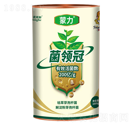 �������I��-�͝��r�I(y��)