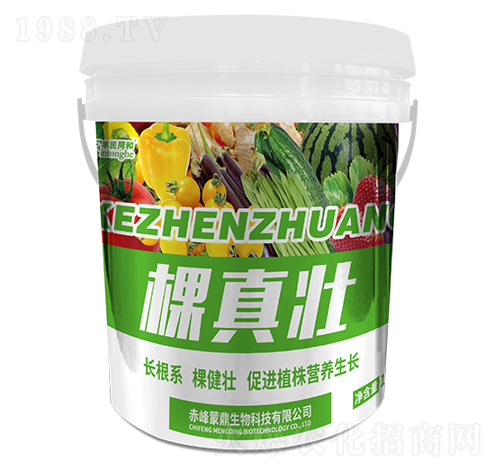 �����-�͝��r(n��ng)�I(y��)