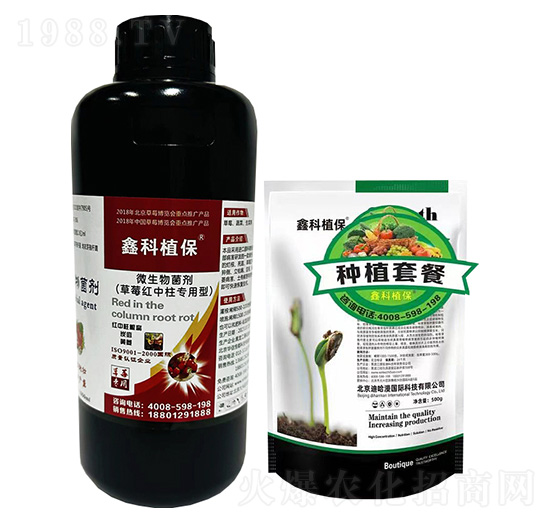 ��ݮ�t���������ײ�-�ο�ֲ��