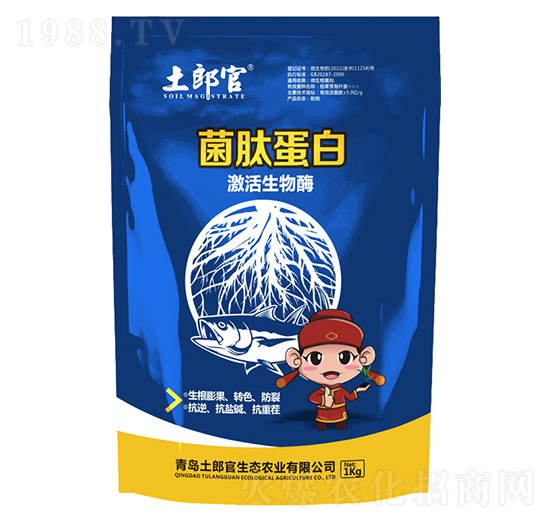 ���ĵ���-���ɹ�