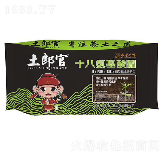 ʮ�˰����ᣨ�����B(y��ng)�o�ͣ�-���ɹ�