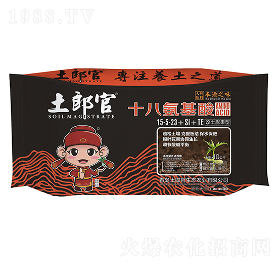 ʮ�˰����ᣨ��������ͣ�15-5-23+Si+TE-���ɹ�