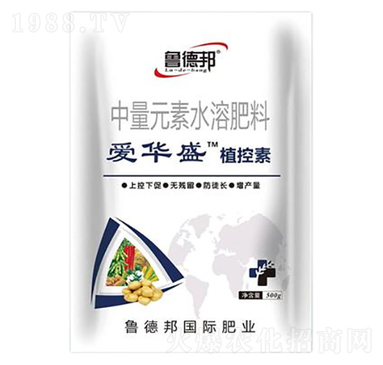 ����Ԫ��ˮ�ܷ���-���Aʢ��ֲ����-���°�