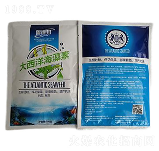 ����������-���°�