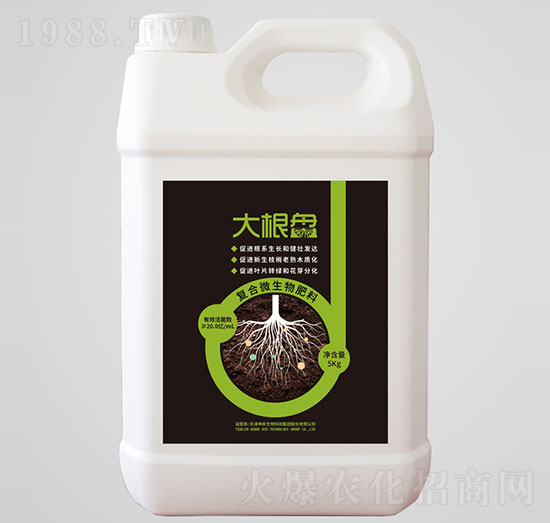 ����P��(f��)��΢�������-��������