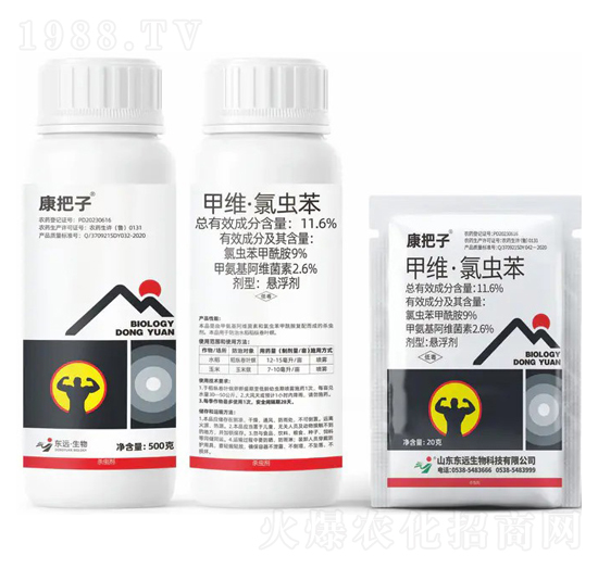 11.6%�׾S�����x���Ҹ���-������-�|�h����