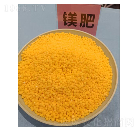 �V�ʣ��S��-���ɽ�