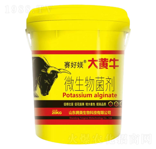 ΢�������-���Sţ-�v������