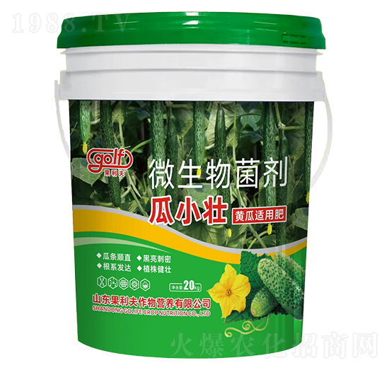 黃瓜適用肥-瓜小壯-果利夫