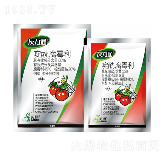 65%�������ù��WG-����ͨ-һ�[�Ƽ�