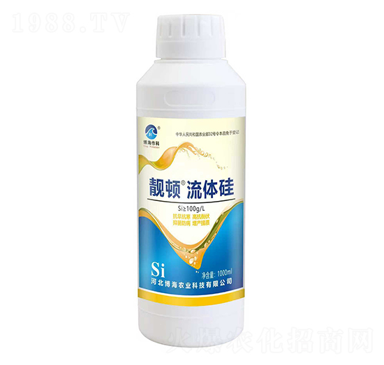 �n�D���w��-��������