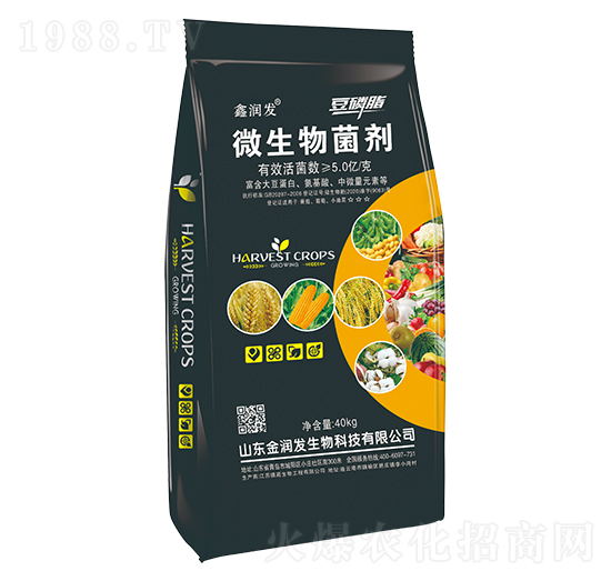 ΢�������-�Ν��l(f��)-�Ą�(chu��ng)��ţ