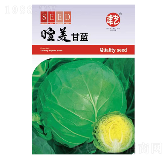 ���{(l��n)�N��-�������{(l��n)-���S�r(n��ng)�I(y��)