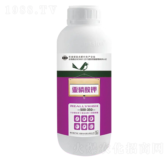 ��ߡ��������-�����ʘI(y��)