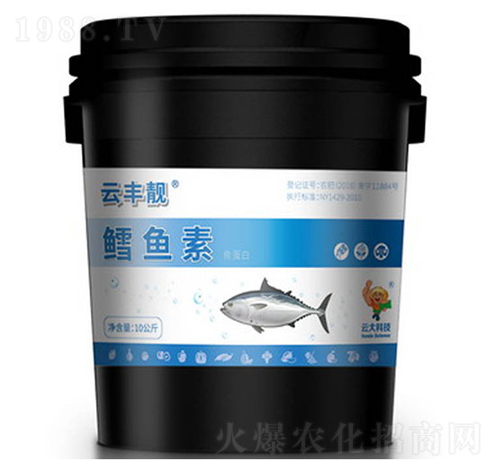 �L�~���~����-���S�n-�ƴ�Ƽ�