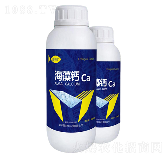 �����}-���A��