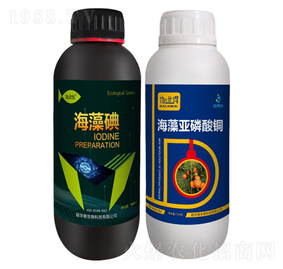 ���ٝ����ײ�1̖-���A��