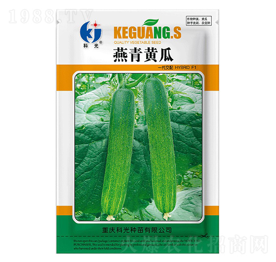 �����S��-�ƹ�N��