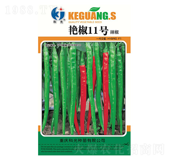 �G��11̖-�ƹ�N��