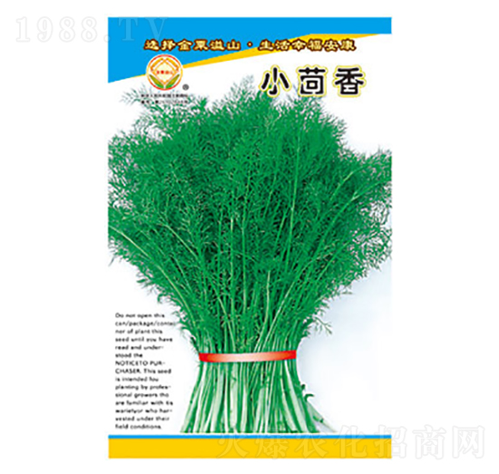 С����-̫���N�I(y��)